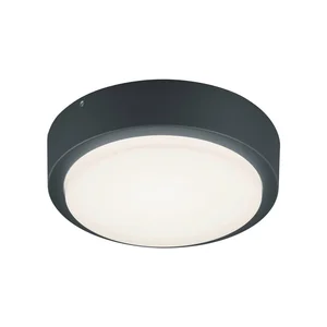 LED venkovní nástěnné svítidlo Berg 20 cm Trio