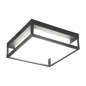 LED venkovní nástěnné svítidlo Witham – Trio (10 cm)