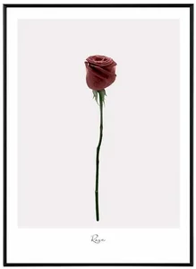 Loving Květinový Obraz 30x40 cm