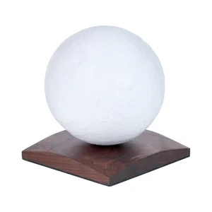LunaSpin Gingko – LED stolní lampa s otočným globem, 13 cm