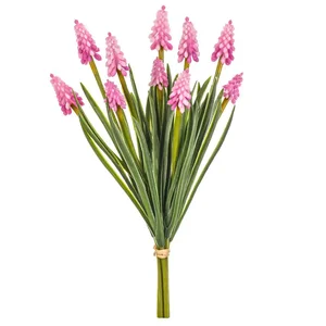 Modřenec růžový UKN100 Pink