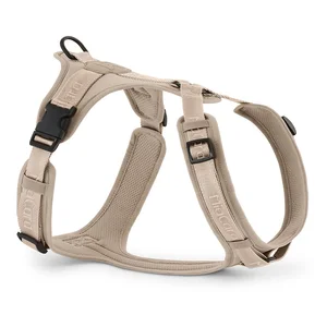Modrý postroj MiaCara L 42 cm
