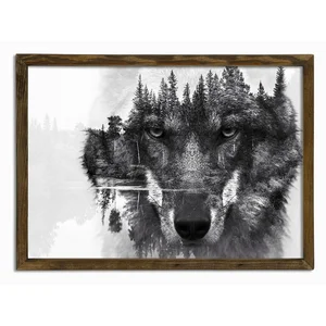 Nástěnný obraz Husky 70x50 cm