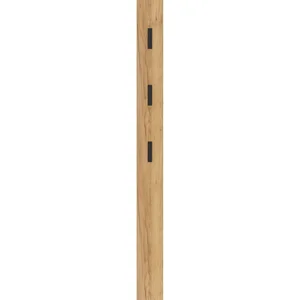 Nástěnný věšák Ameca Dub Natural