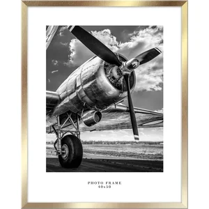 Nástěnný zlatý rámeček Styler Floryda 43x53 cm