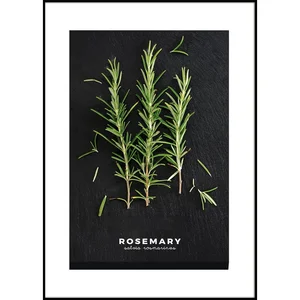 Obraz Rosemary 50x70 cm