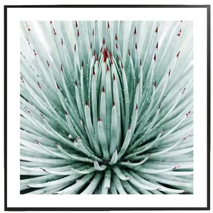 Obraz Spell 50x50 cm