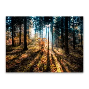Obraz Styler Glasspik Autumn Sunset 70×100 cm