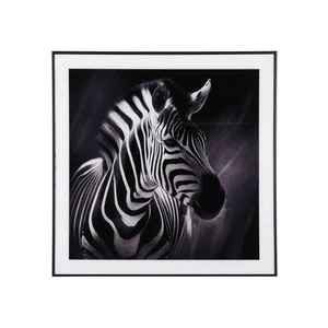 Obraz Zebra 50x50 cm
