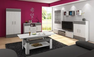 Obývací stěna DAMARA craft bílá/grafit, 280 cm, 5 let záruky