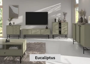 Obývací stěna Strakoš TOK 3