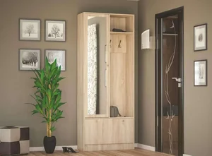 PALERMO Předsíňová stěna – dub sonoma