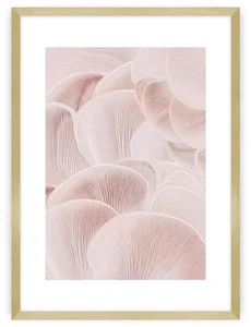 Pastel Pink Art Print