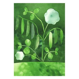 Plakát Peas in Bloom 50×70 cm – Anna Ravn Bjørn