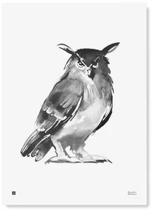 Plakát Sova Eagle Owl 50x70 cm