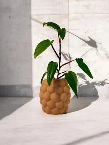 PlantBee Květináč Rubus 12cm terakotový