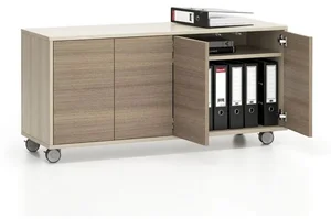 Pojízdná skříňka LAYERS s dveřmi, dub přírodní/mořený