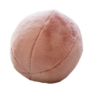 Polštář z mikroplyše 25 cm Mioli Decor Top