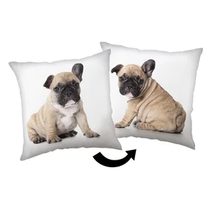 Polštářek Bulldog 40×40 cm pro děti