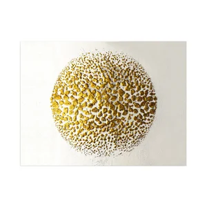 Pozlacená koule – obraz na plátně 70 × 100 cm