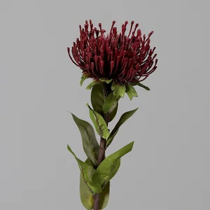 Protea – Umělá květina 74 cm