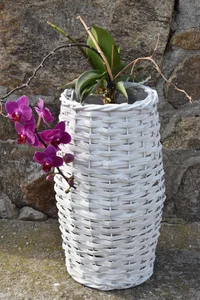 Proutěvá váza Vingo v bílé barvě, 17x32 cm