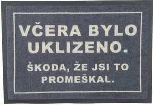 Rohožka s vtipným nápisem o úklidu 40×60 cm