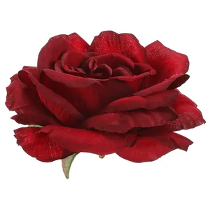 Růže KN7085 RED – 12 ks