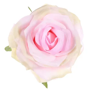 Růže vazbová KUM3311-PINK, 12 ks