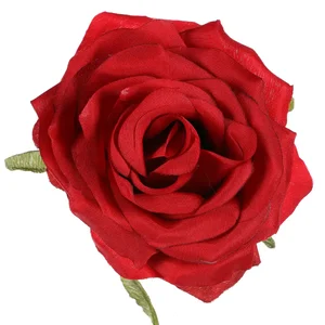 Růže vazbová KUM3311-RED, 12 ks