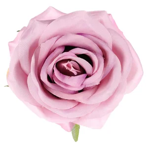 Růže vazbové KUM3311-LILA, 12 ks