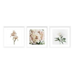 Sada 3 obrazů s rámem 30×30 cm Posy Styler