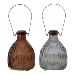 Sada skleněných lapačů hmyzu Bottle