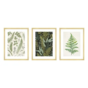 Sada tří obrazů Fern 30x40 cm