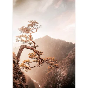 Skleněný obraz 50×70 cm Brown Tree Styler