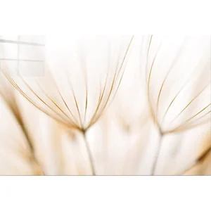 Skleněný obraz Fluff 100×70 cm – Wallity