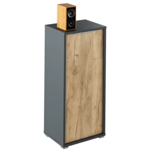 Skříňka RIOMA NEW TYP 10 – grafit/dub artisan