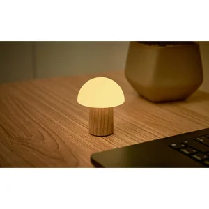 Stolní lampa Alice Gingko z jasanového dřeva, stmívatelná, výška 7 cm
