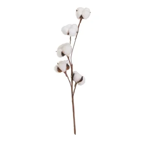 Sušená rostlina Cotton 55 cm – Casa Selección