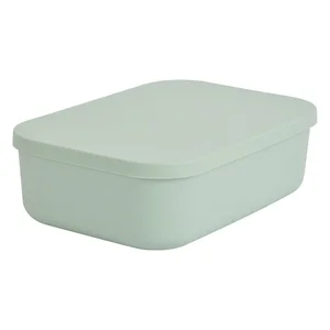 Světle zelený plastový úložný box s víkem 24×18×8 cm (Homéa)