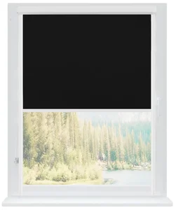 Termoizolační roleta s PVC kazetou bílá, 95 cm šířka