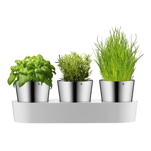 Trojice nerezových květináčů na bylinky WMF Gourmet