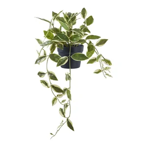 Umělá Hoya Carnosa 33 cm – House Nordic