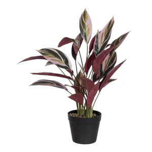 Umělá květina Bird of Paradise – Ixia, 55 cm