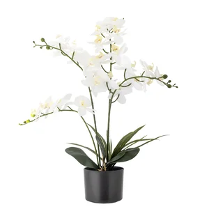 Umělá orchidej zelená