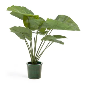 Umělá rostlina Odora 57 cm