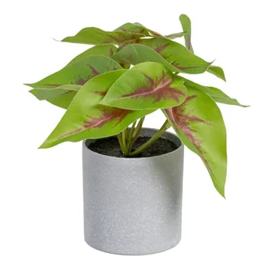 Umělá rostlina Syngonium 20 cm