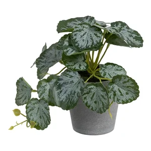 Umělá Saxifraga Ixia 21,5 cm