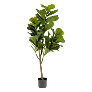 Umělý fíkus Lyrata 150 cm – Kave Home