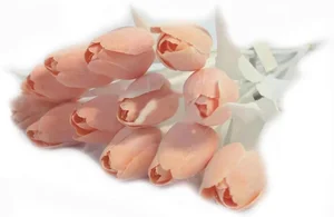 Umělý tulipán Coral
